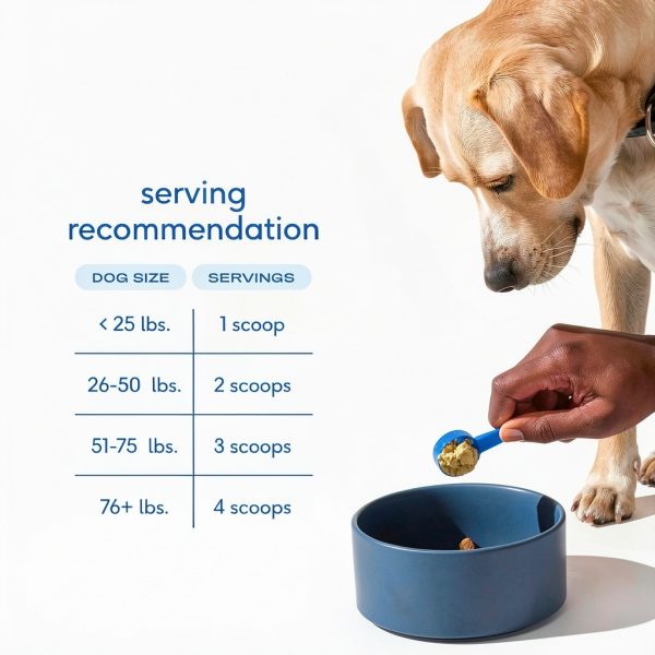 Native Pet Dog Joint Supplement Powder Mobility Care Support-6