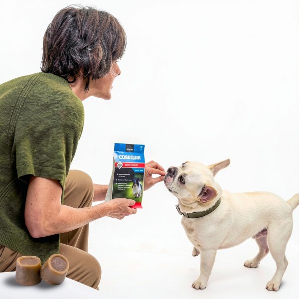 Cosequin Joint Health Supplement for Dogs with Glucosamine-3