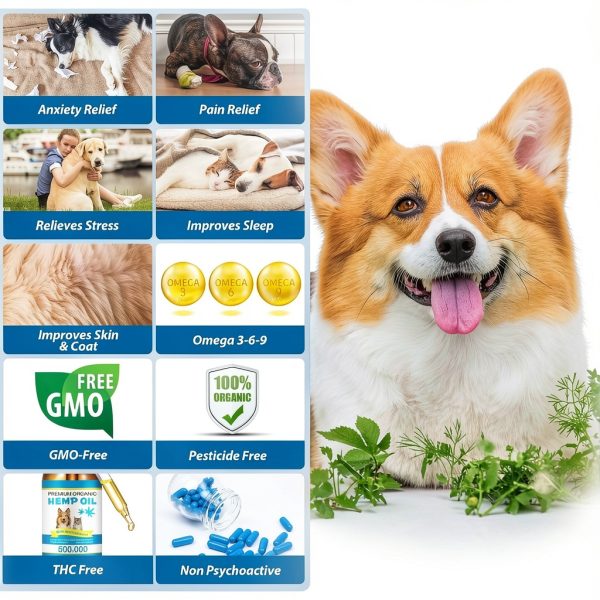 AIQIUSHA Hemp Oil for Dogs Joint Pain Relief Calming-6