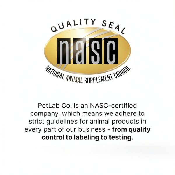 Dog Joint Supplement Chews PetLab Co Mobility Support-2