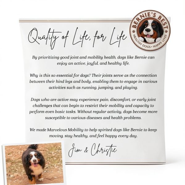 Bernies Best Dog Joint Supplement Mobility Formula-7