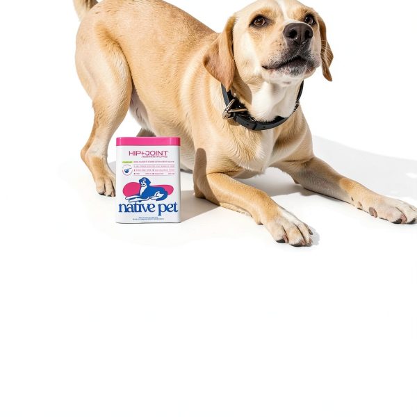 Native Pet Dog Joint Supplement Powder Mobility Care Support-1