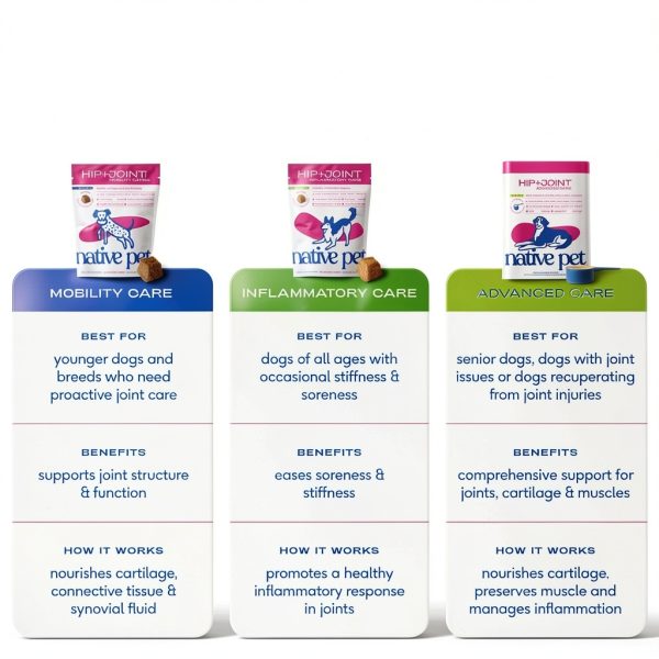 Native Pet Dog Joint Supplement Powder Mobility Care Support-8