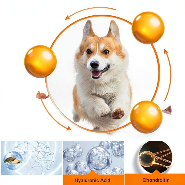 Nature Target Dog Joint Supplement Glucosamine Chews-1